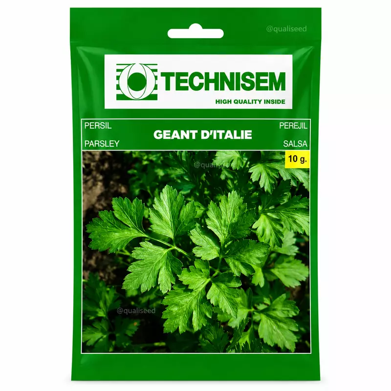 Italian Giant Parsley
