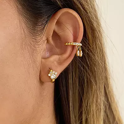 Diamonds Paw Earrings