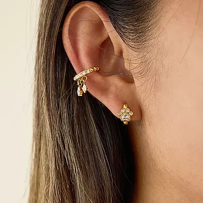 Diamonds Paw Earrings