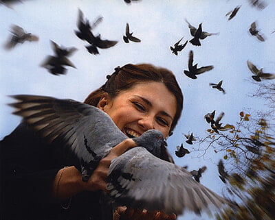 Peace Card 2–Ukraine