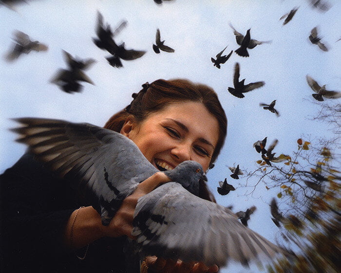 Peace Card 2–Ukraine