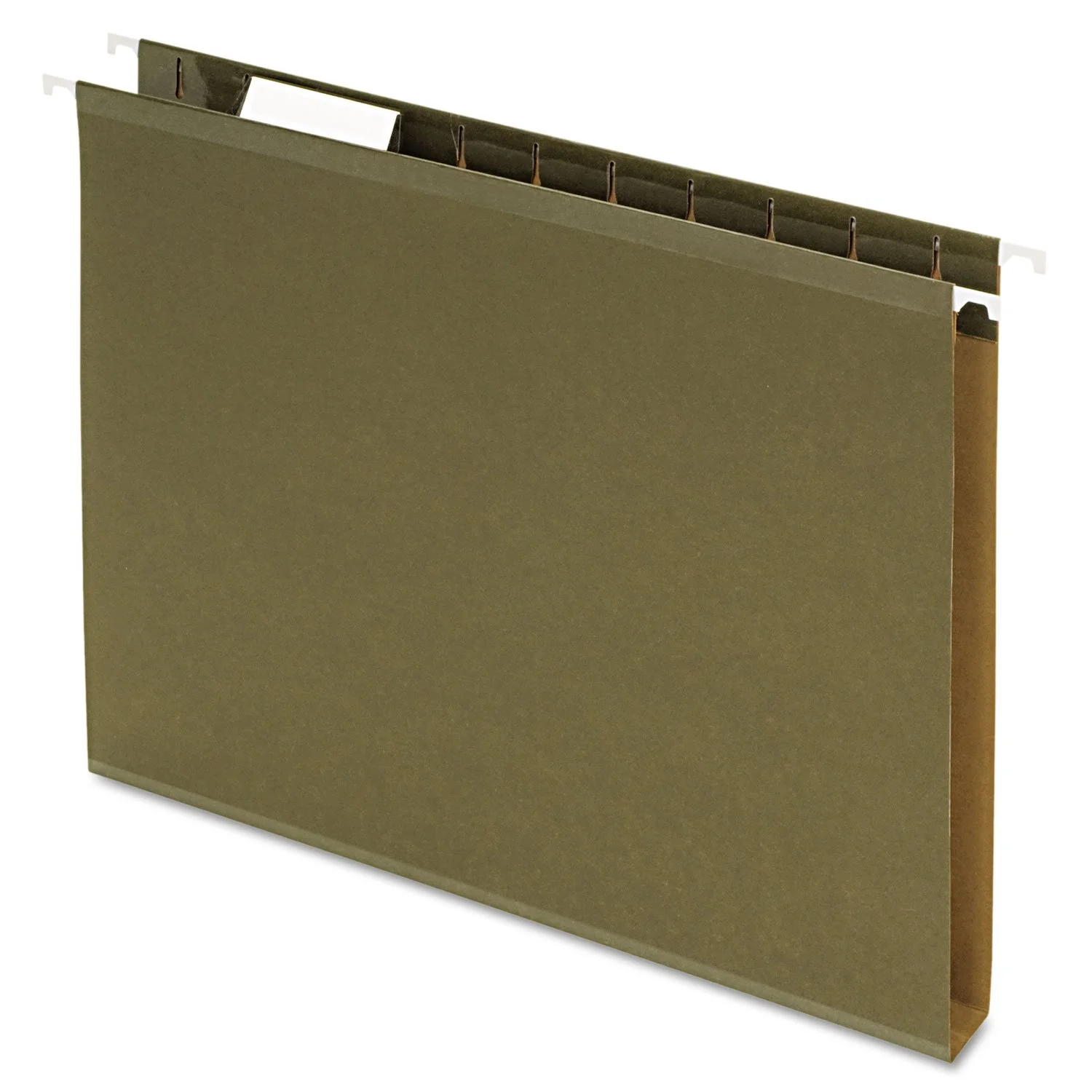Pendaflex Extra Capacity Reinforced Hanging Folders, Letter Size