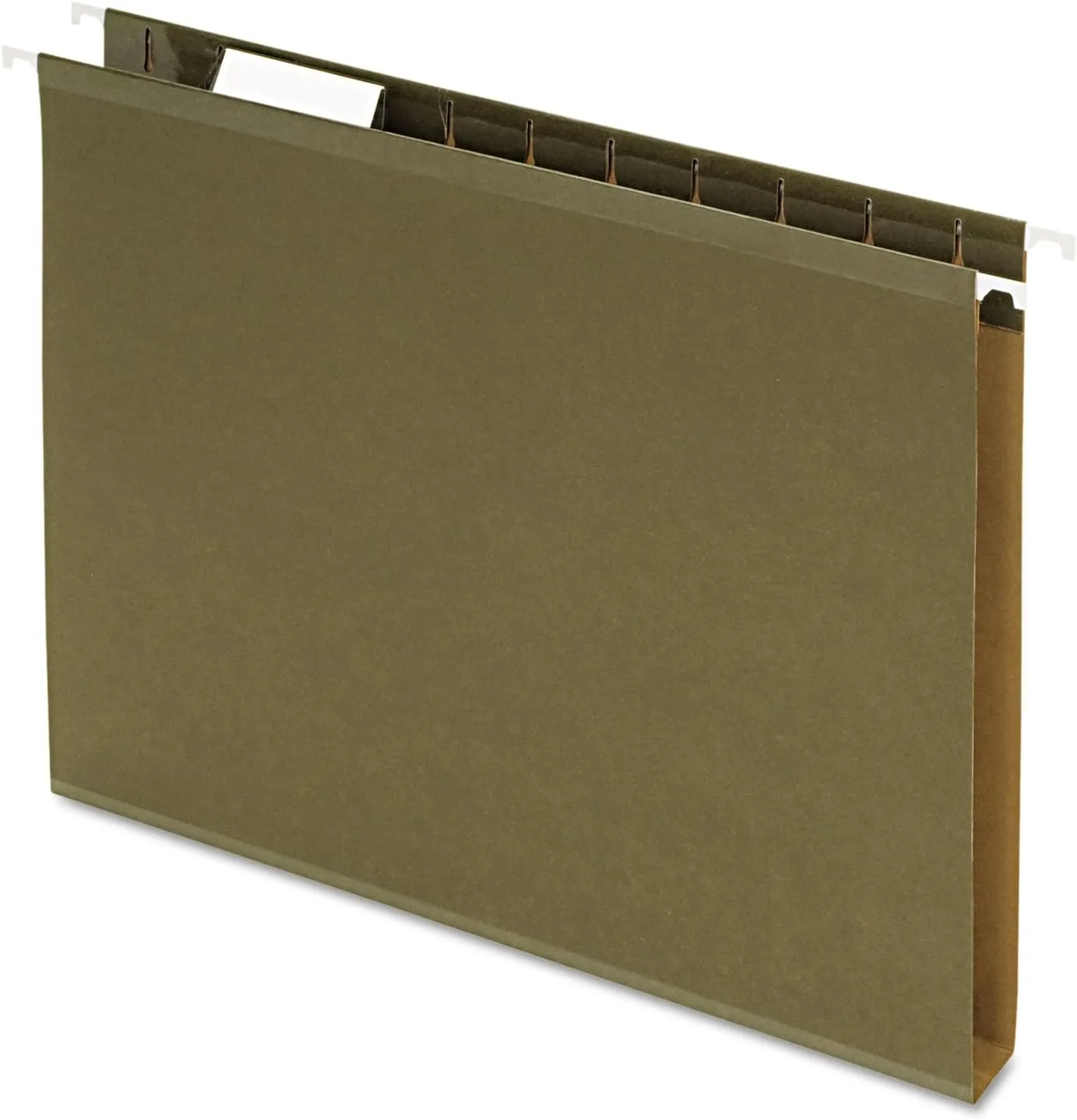 Pendaflex Extra Capacity Reinforced Hanging Folders, Letter Size