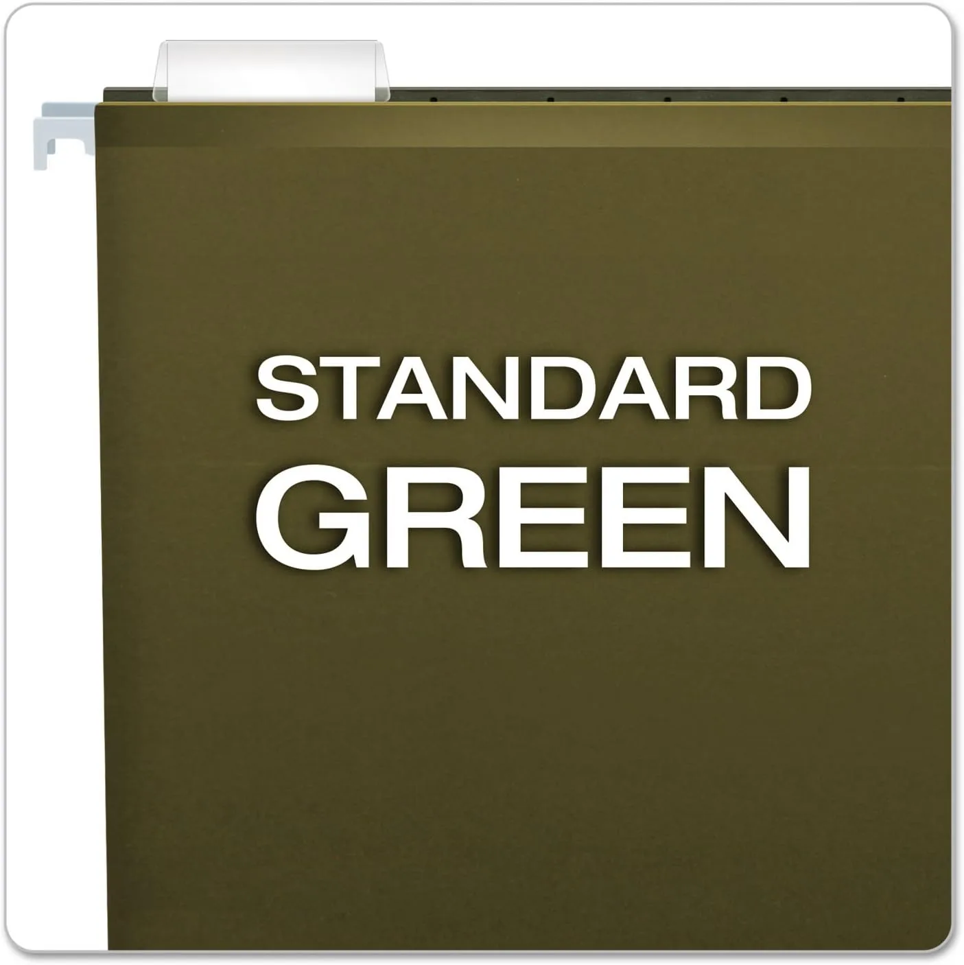 Pendaflex Extra Capacity Reinforced Hanging Folders, Letter Size