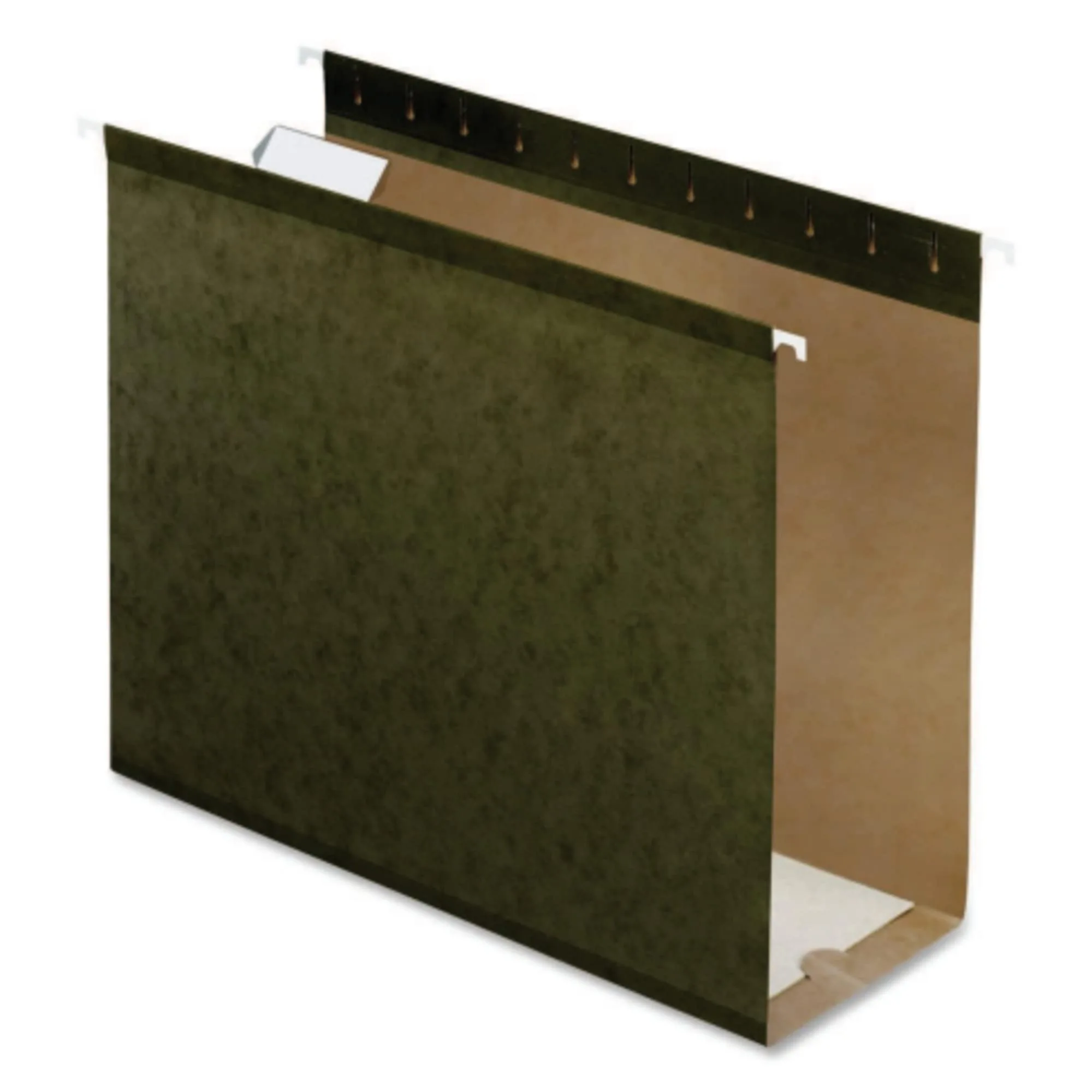 Pendaflex Extra Capacity Reinforced Hanging Folders, Letter Size