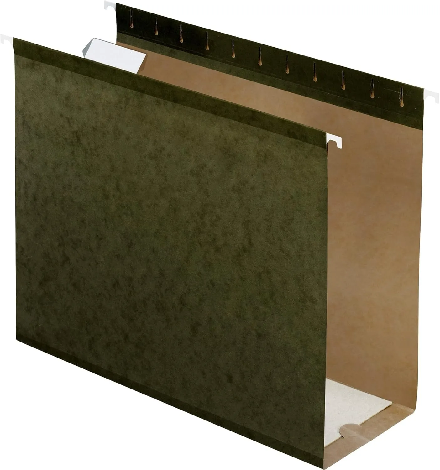 Pendaflex Extra Capacity Reinforced Hanging Folders, Letter Size