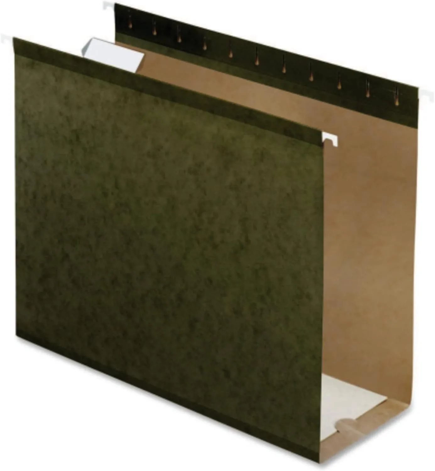 Pendaflex Extra Capacity Reinforced Hanging Folders, Letter Size