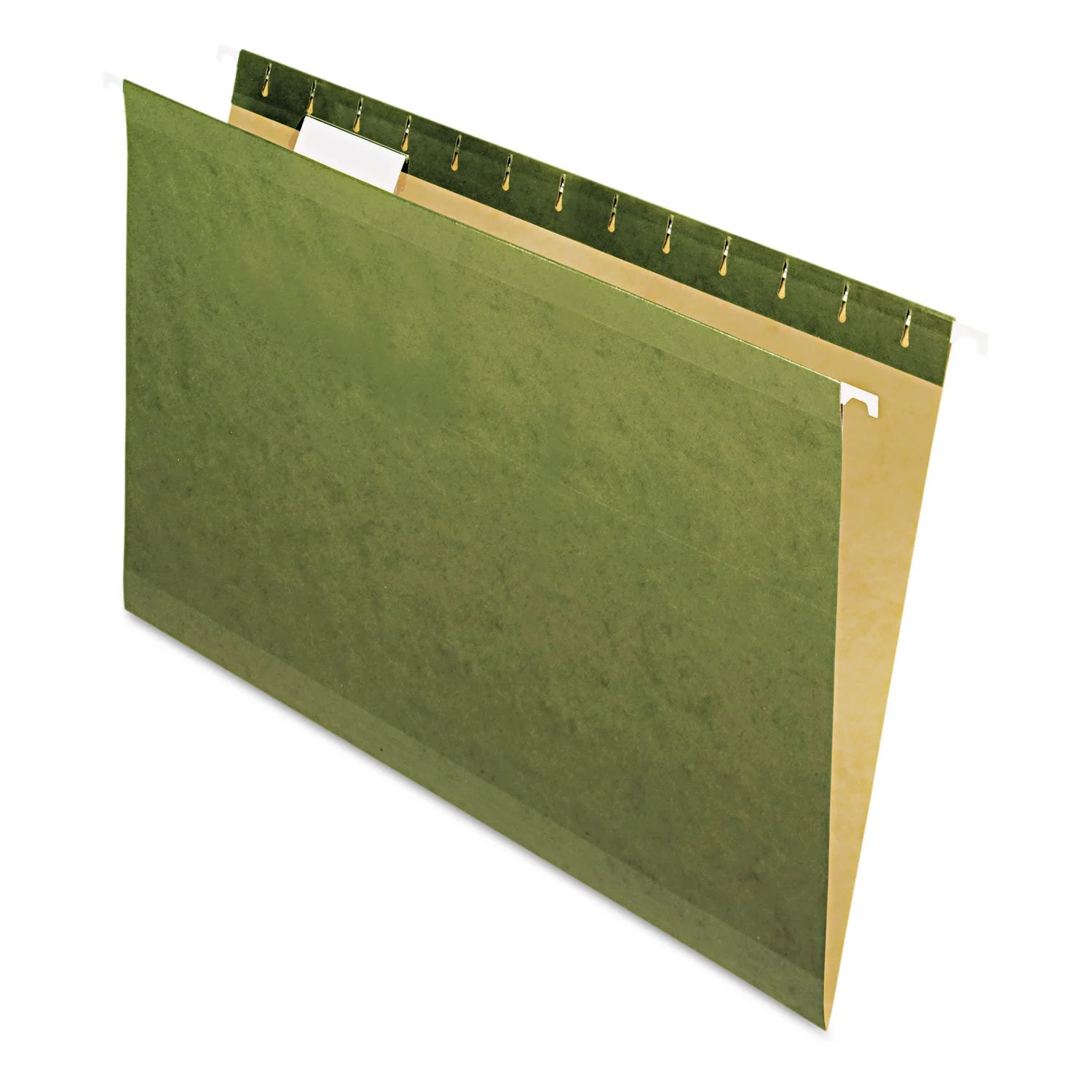 PENDAFLEX Reinforced Hanging File Folders, Legal Size, Standard Green