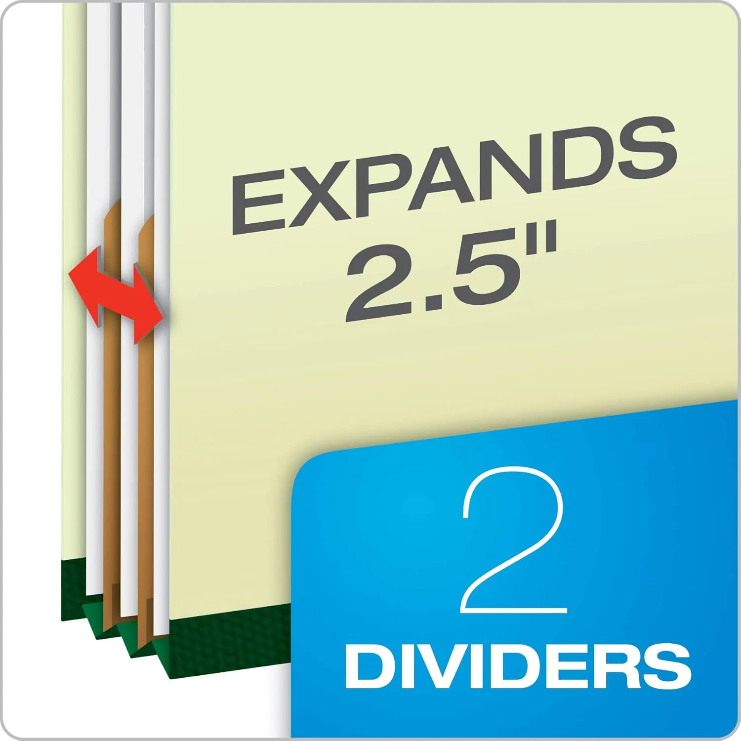 Pendaflex Classification Folders – 2 Dividers, Light Green, Letter, 10/BX (17173) Letter Size - 6 Section