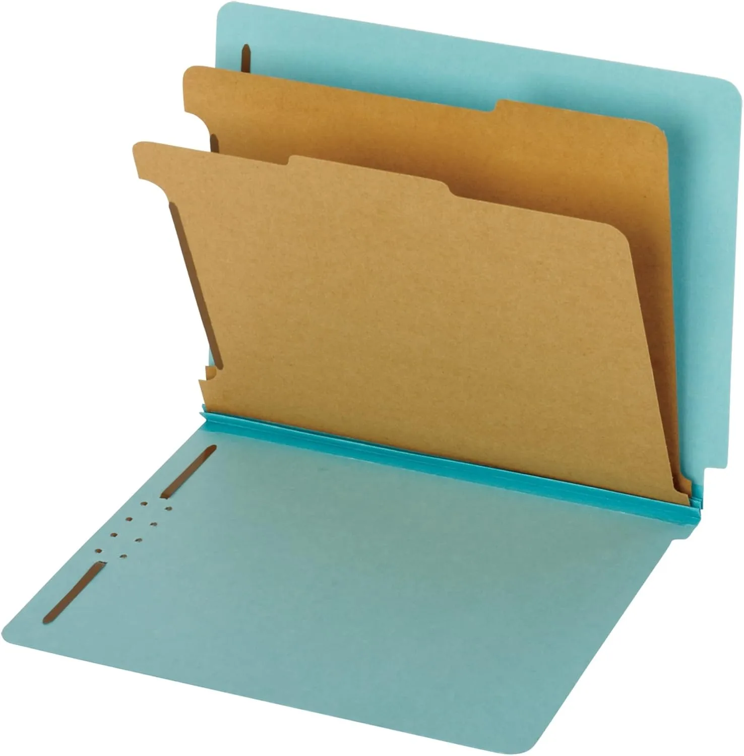 Globe-Weis End Tab Classification Folders, 2 Dividers, 2-Inch Embedded Fasteners, Letter Size, Blue, 10 Folders per Box (23781)