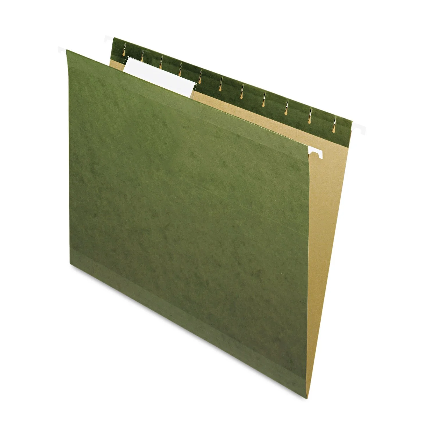 PENDAFLEX Reinforced Hanging File Folders, Letter Size
