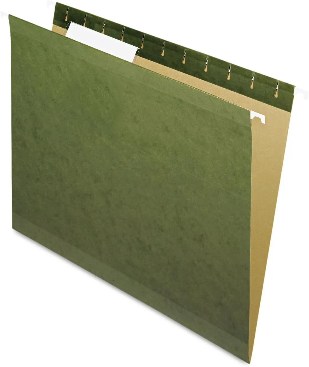 PENDAFLEX Reinforced Hanging File Folders, Letter Size
