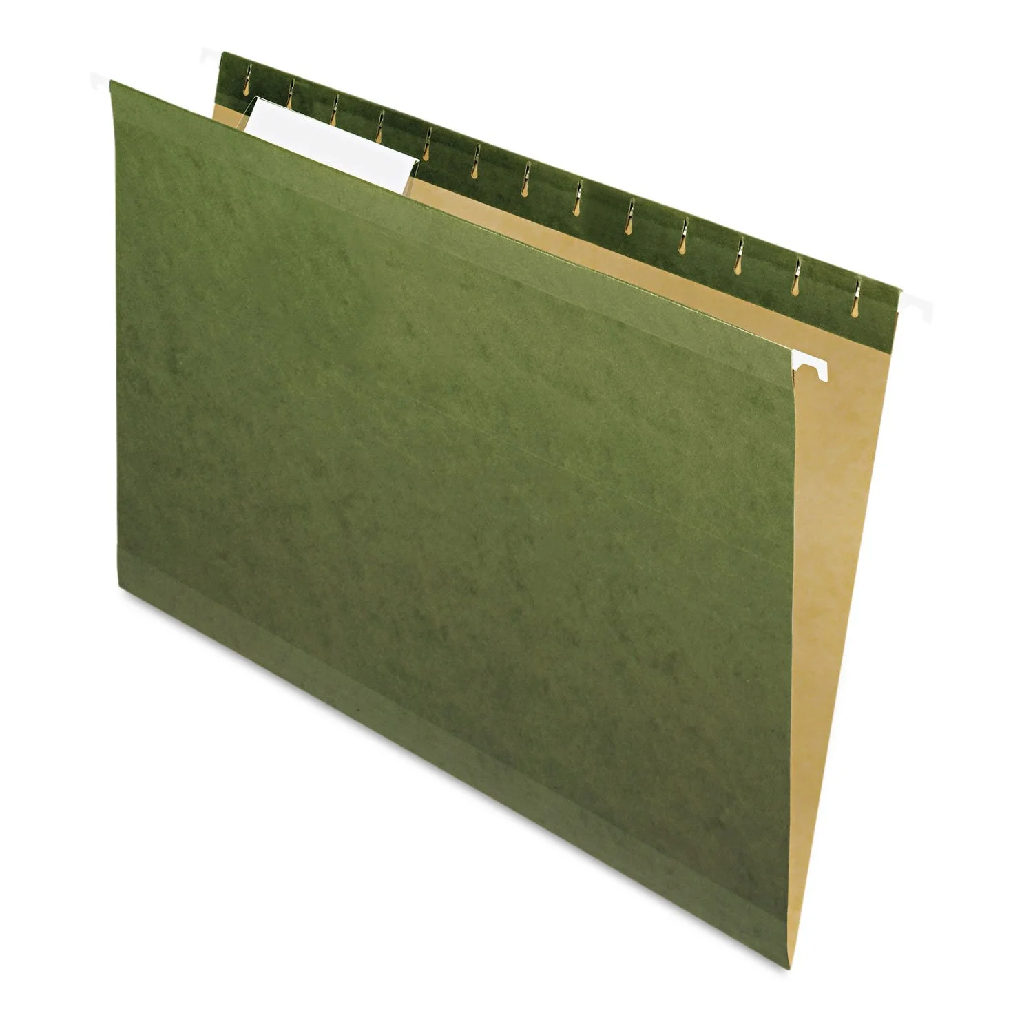 PENDAFLEX Reinforced Hanging File Folders, Legal Size, Standard Green