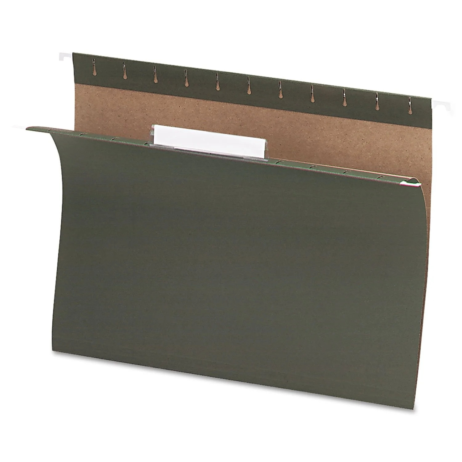 Pendaflex Recycled Hanging Folders, Letter Size, Standard Green, 1/3 Cut, 25/BX (81601)