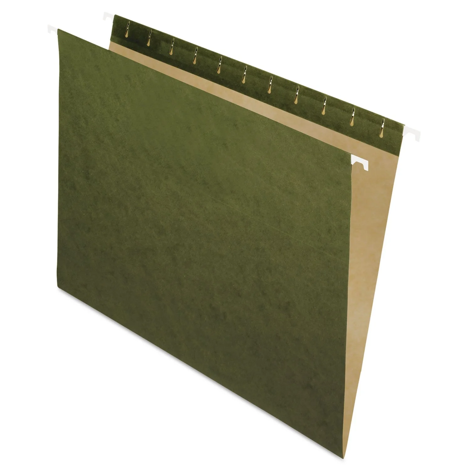 Pendaflex Recycled Hanging Folders, Letter Size, Standard Green, 25/BX (81600), Standard Green - No Tabs