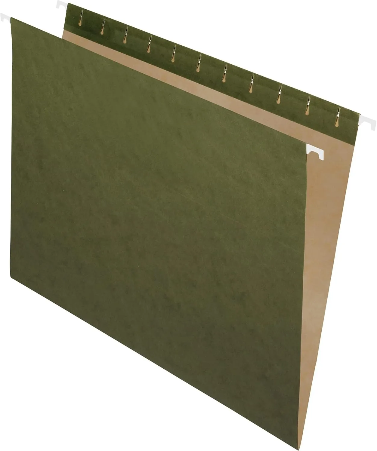 Pendaflex Recycled Hanging Folders, Letter Size, Standard Green, 25/BX (81600), Standard Green - No Tabs