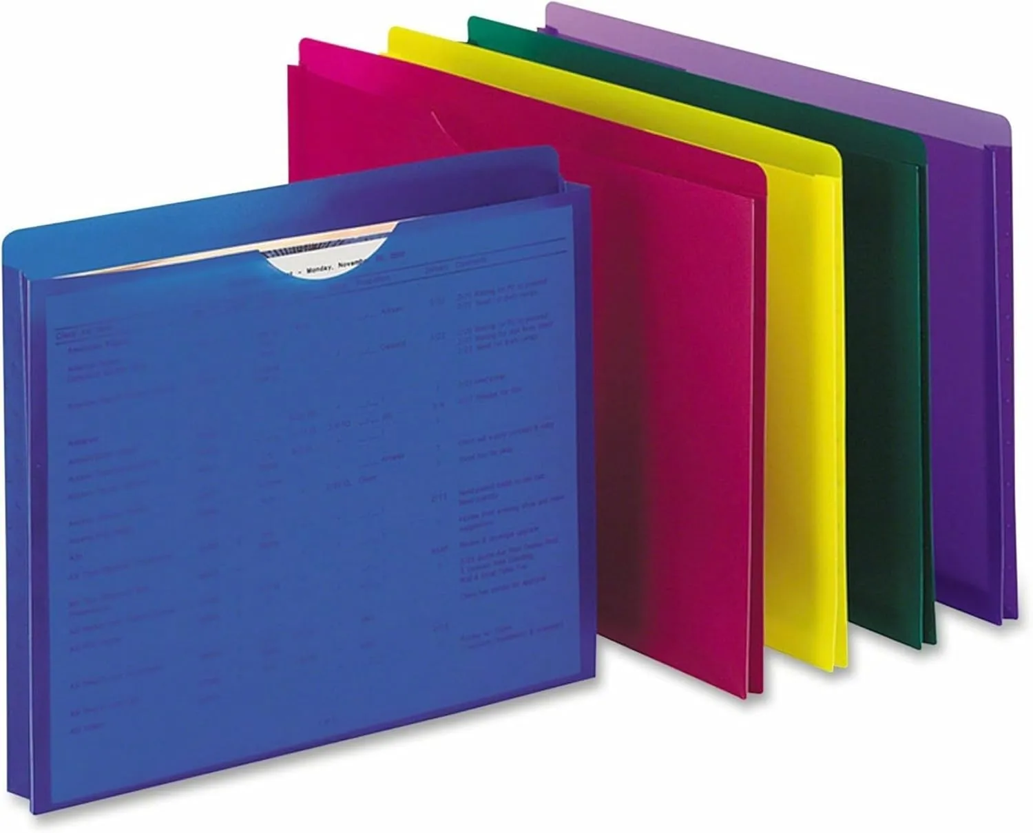 Pendaflex Translucent Poly Expanding File Jackets, Letter, Assorted, 10-Pack