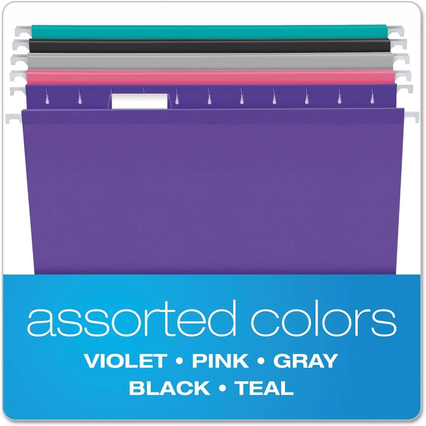 Pendaflex Reinforced Hanging File Folders