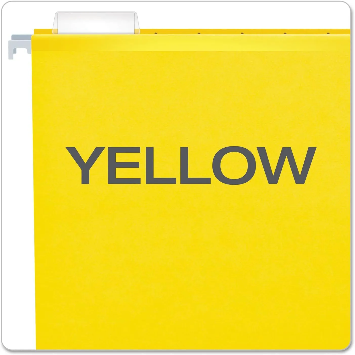 Pendaflex Reinforced Hanging File Folders, Letter Size