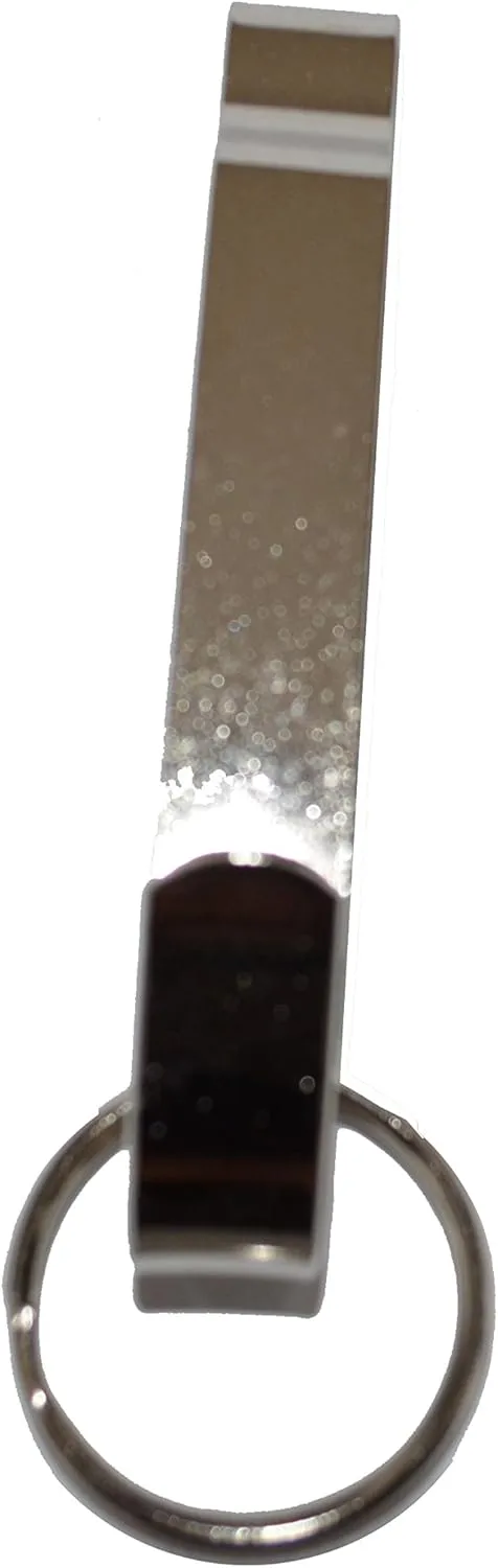 Solid Steel Chrome Key Clip