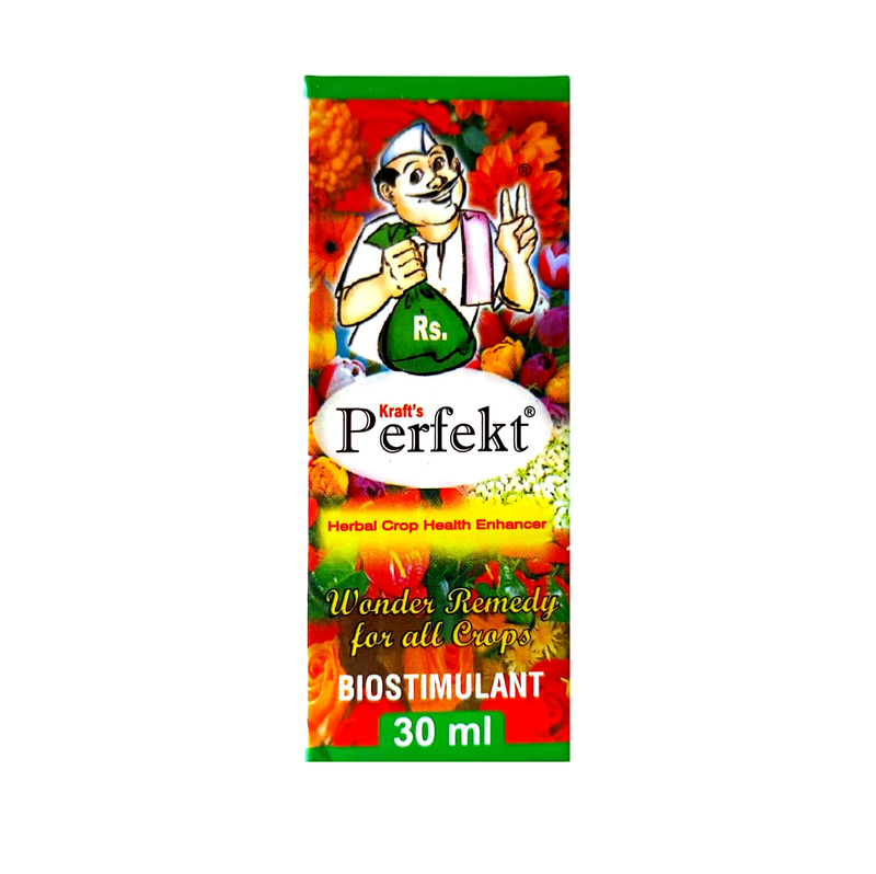 Perfekt
