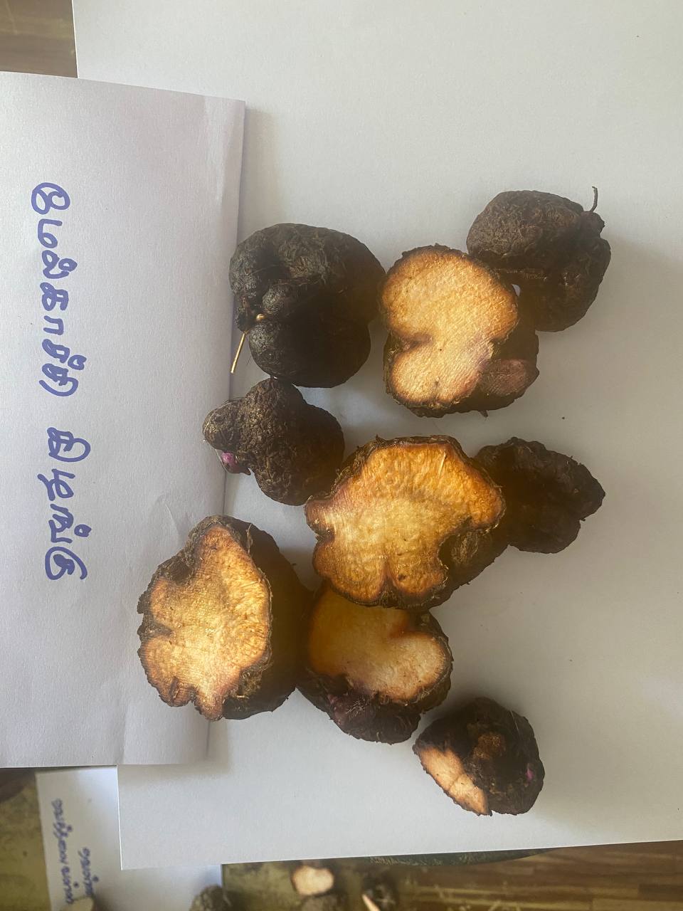 மேல்காச்சி கிழங்கு Melkachi Kilangu