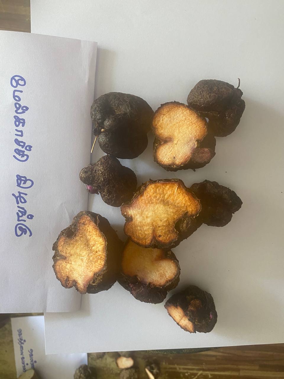 மேல்காச்சி கிழங்கு Melkachi Kilangu