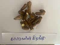 காட்டுவள்ளி-கிழங்கு-kattuvalli-kilangu