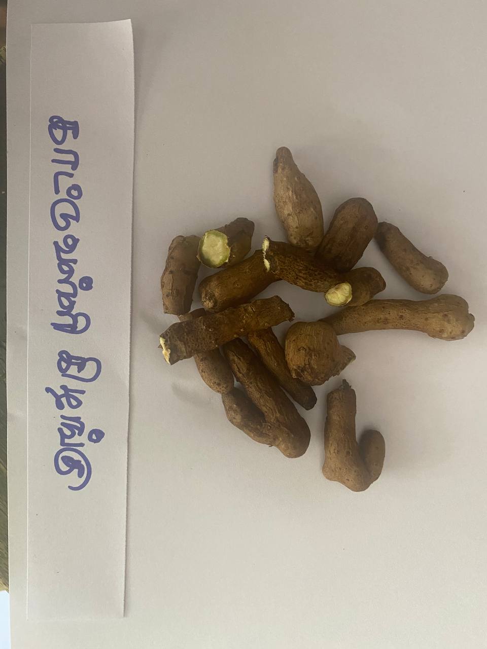 காட்டுவள்ளி-கிழங்கு-kattuvalli-kilangu