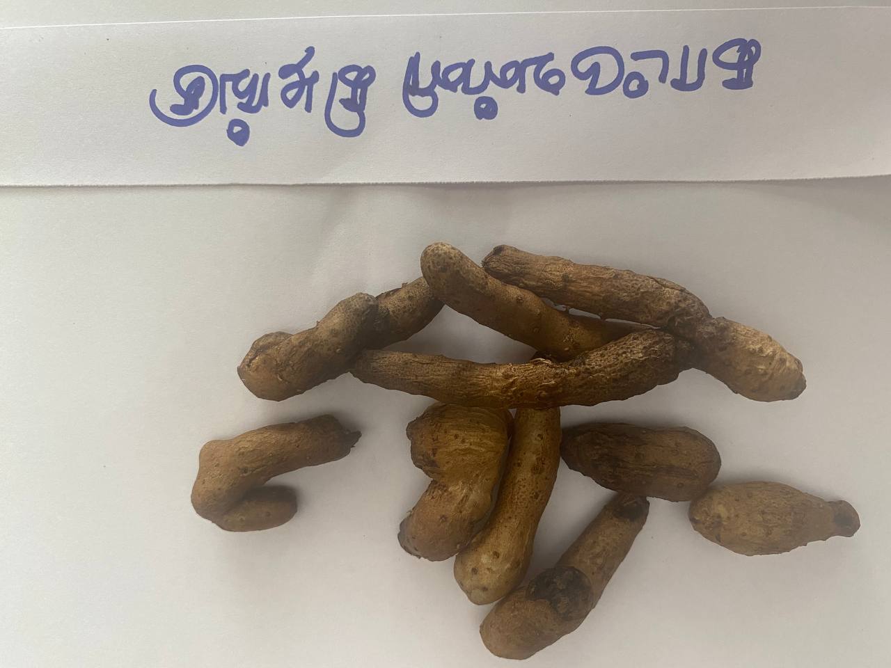 காட்டுவள்ளி-கிழங்கு-kattuvalli-kilangu