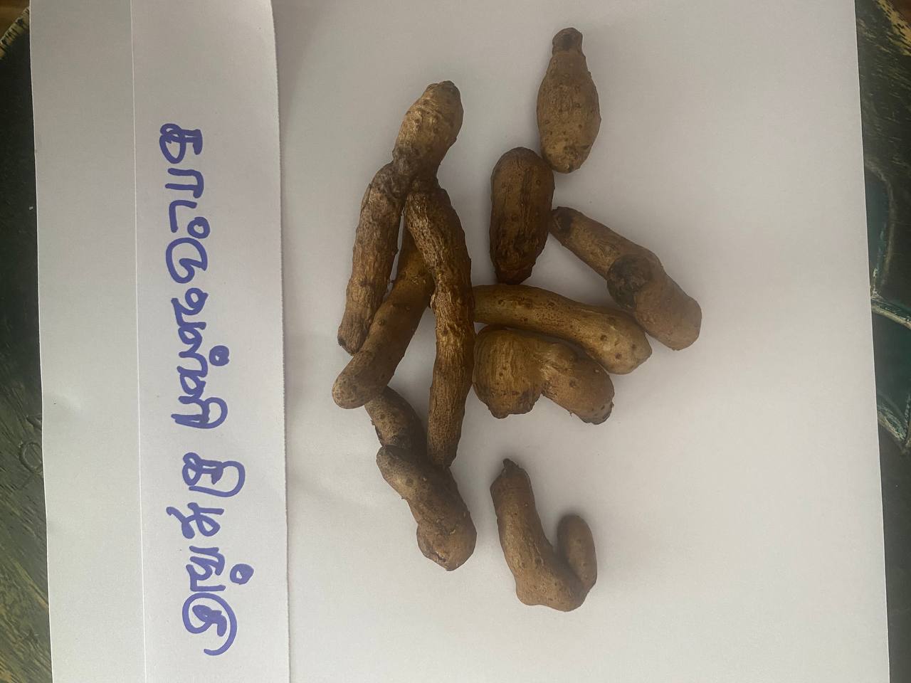 காட்டுவள்ளி-கிழங்கு-kattuvalli-kilangu