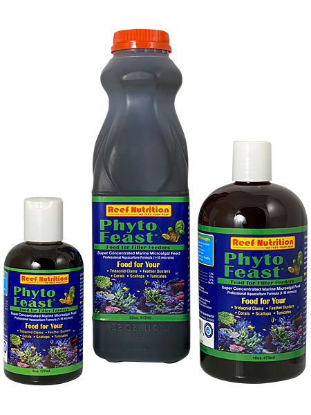 Phyto-Feast Concentrate