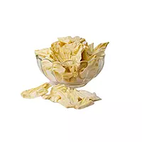 Freeze-Dried Pineapple