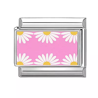 Pink Daisies