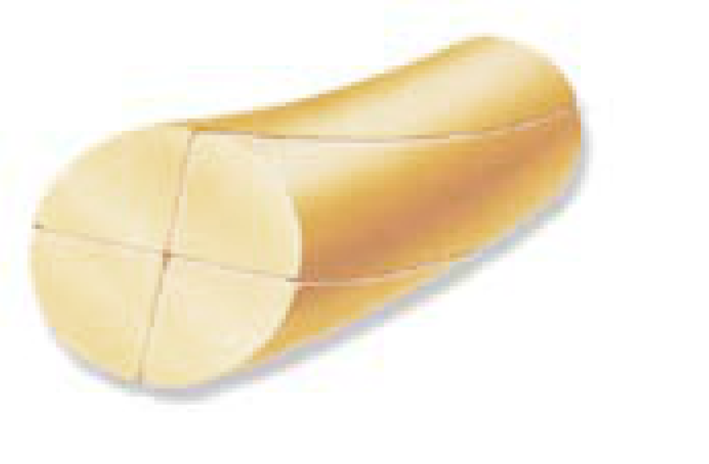 Primo® Plain Gut Sutures