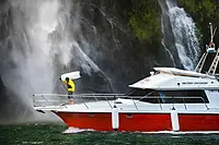 POLYFORM F Series Twin Eye Boat Fender