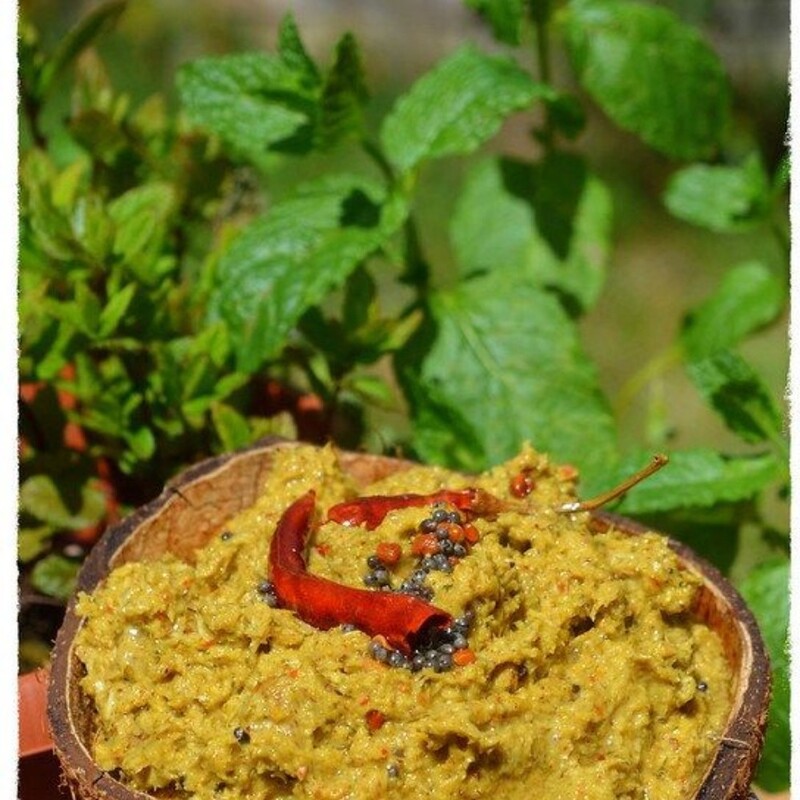 Mint Leaf Pickle (without garlic)