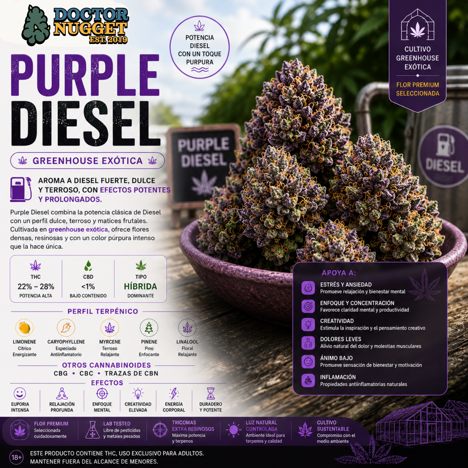 Dr. Nugget Purple Diesel THC Flor