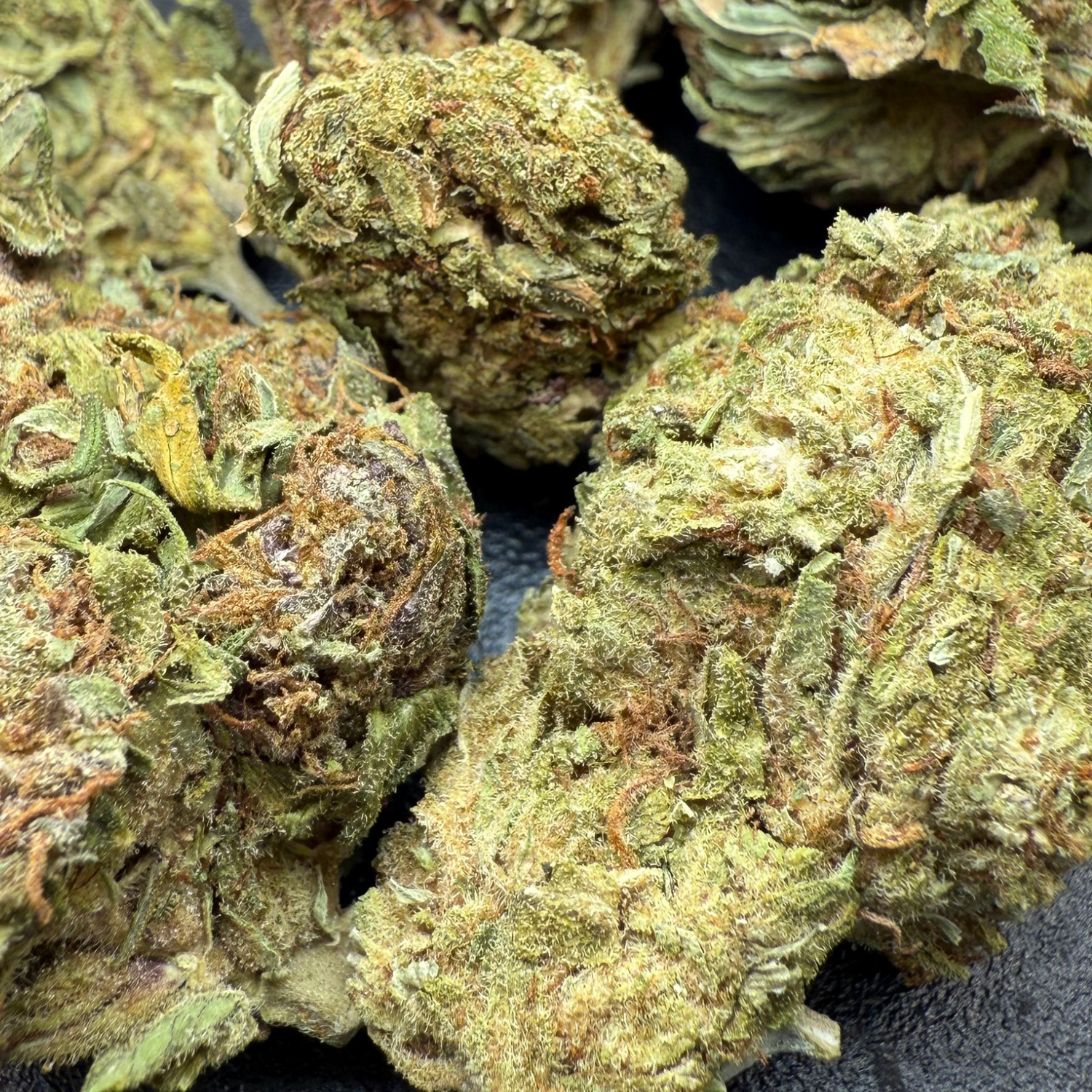 Purple Diesel Greenhouse Exotic