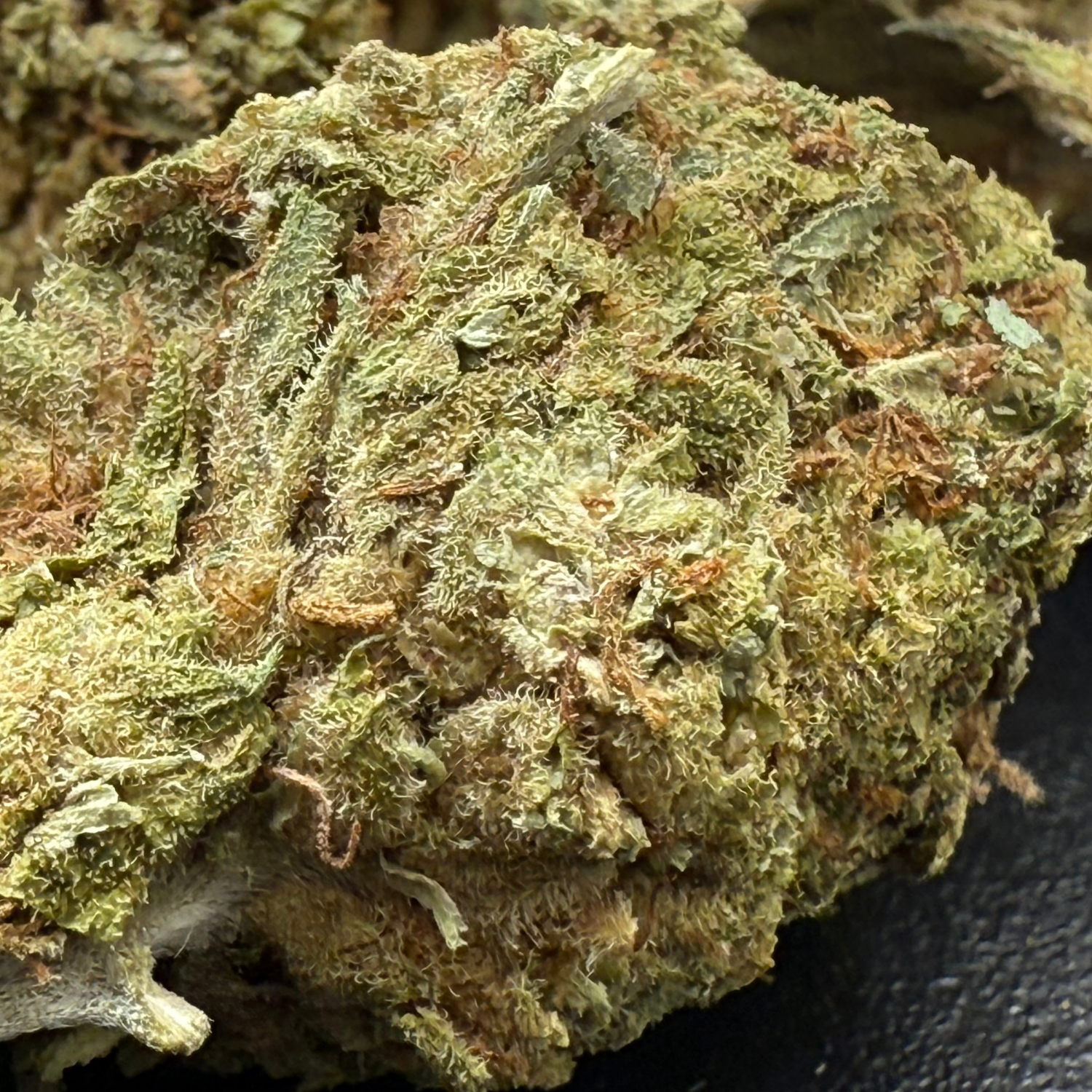 Purple Diesel Greenhouse Exotic