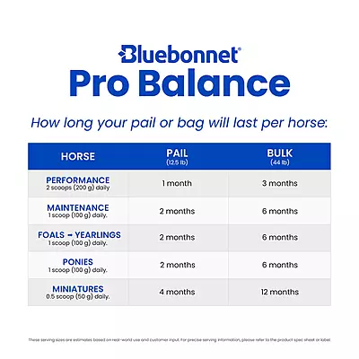 Pro Balance- 12.5lb