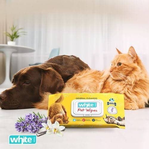 White Wet Wipes for Dogs and Cats - 54 Wipes