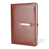 Tan Corporate Diary With Pen & Box Tan Corporate Diary With Pen & Box