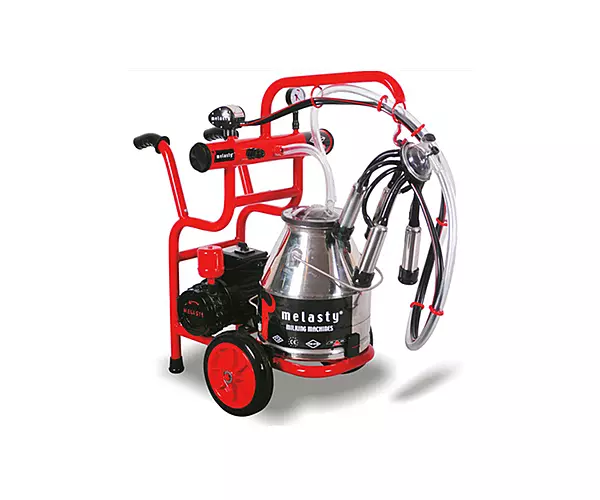 Milking Machine Melasty Cattle