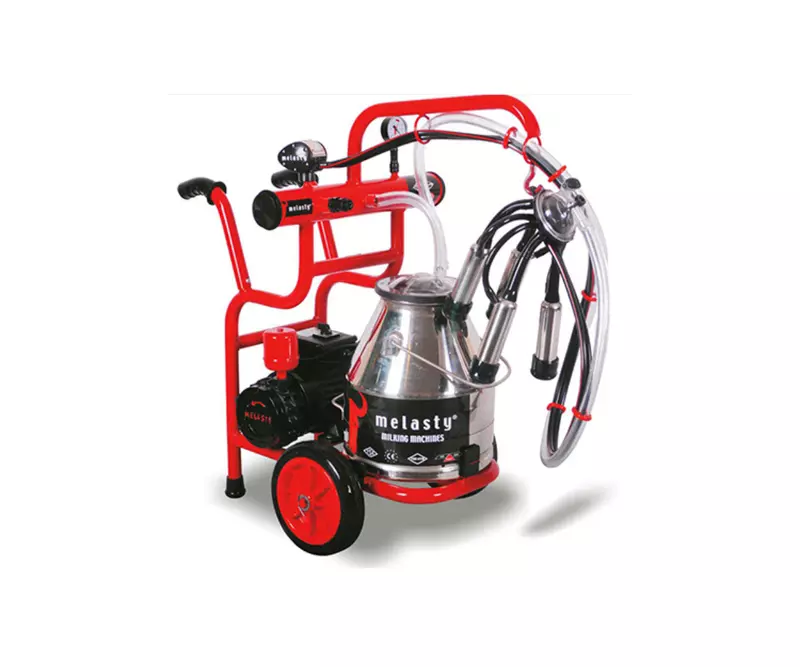 Milking Machine Melasty sheep