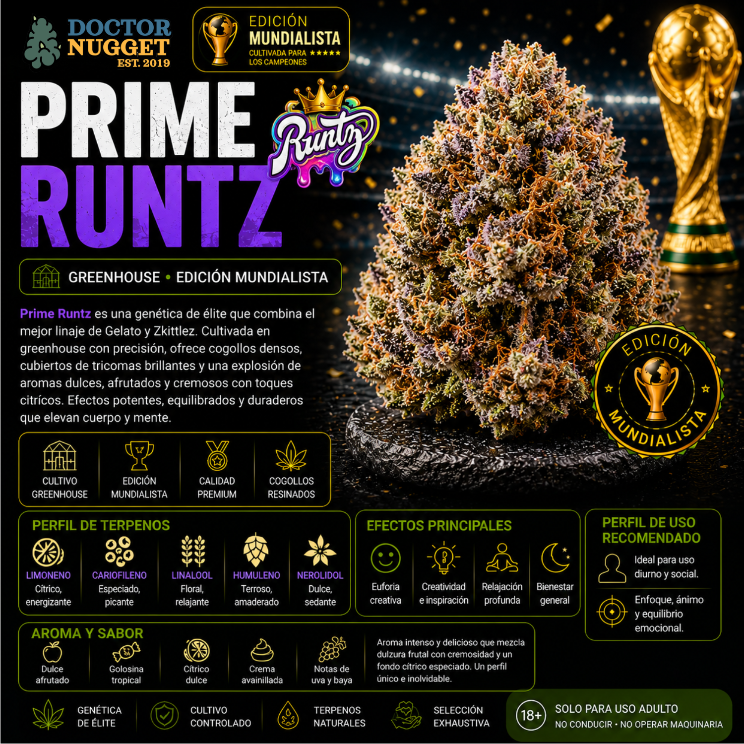 Dr. Nugget Runtz THC Flor