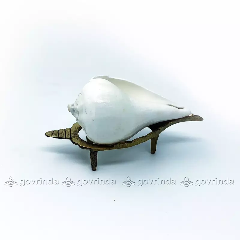 Puja Shankha or Jal Sankha / Pani Wala Shankh for Pooja, Aarti, Original White Conch Shells with Brass Sankha Stand (Pack of 1 Set)