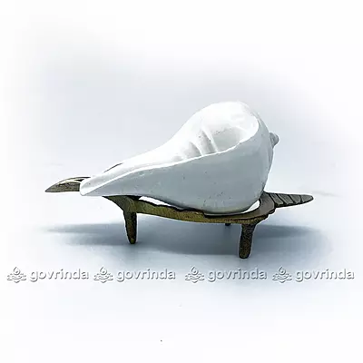 Puja Shankha or Jal Sankha / Pani Wala Shankh for Pooja, Aarti, Original White Conch Shells with Brass Sankha Stand (Pack of 1 Set)