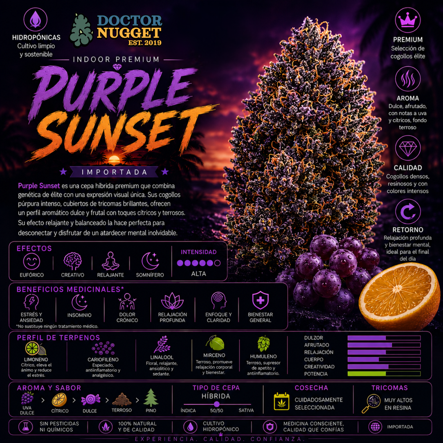 Dr. Nugget Purple Sunset THC Flor