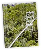 Lagos Green Luxury Journal | Beautiful Chaos Collection